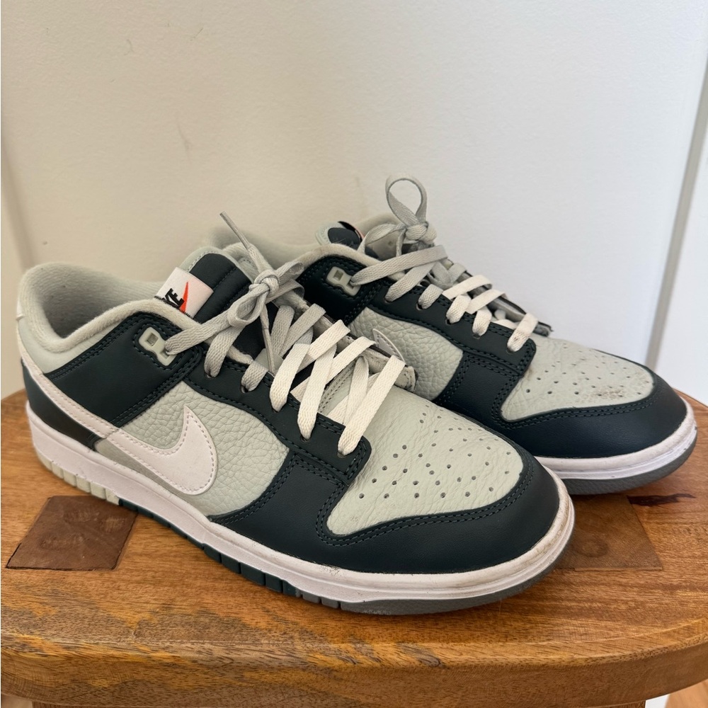 Mens Nike Dunk Size 9.5 FB8896-300